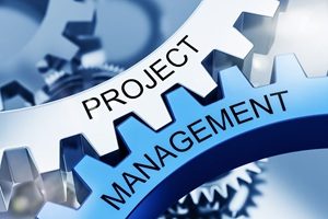 Project Management – A Critical Part of Any Large Federal IT Project